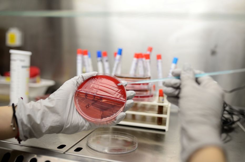 The laboratory performs a range of advanced laboratory tests